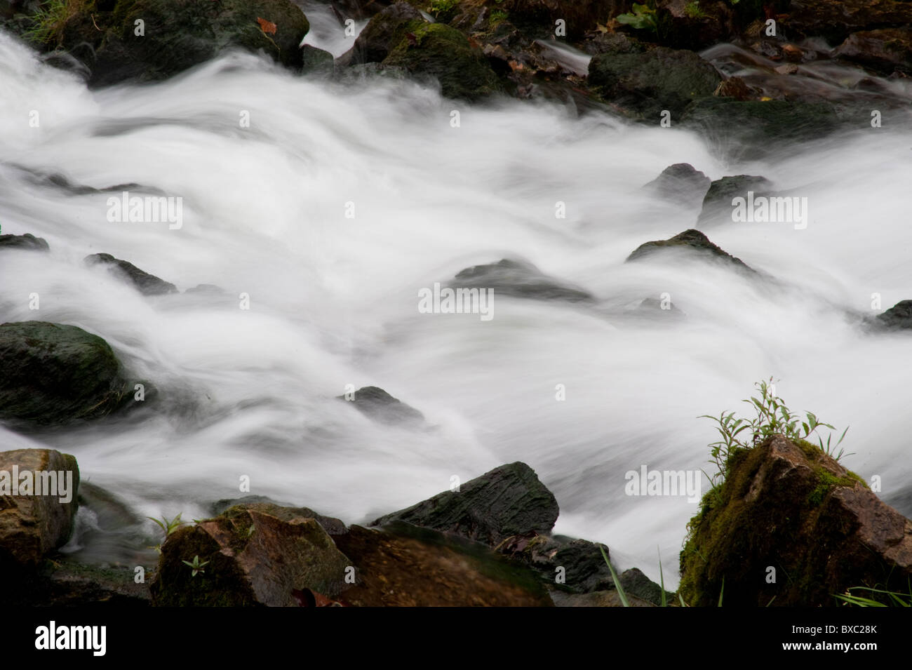 Branson, Missouri, USA Stockfoto