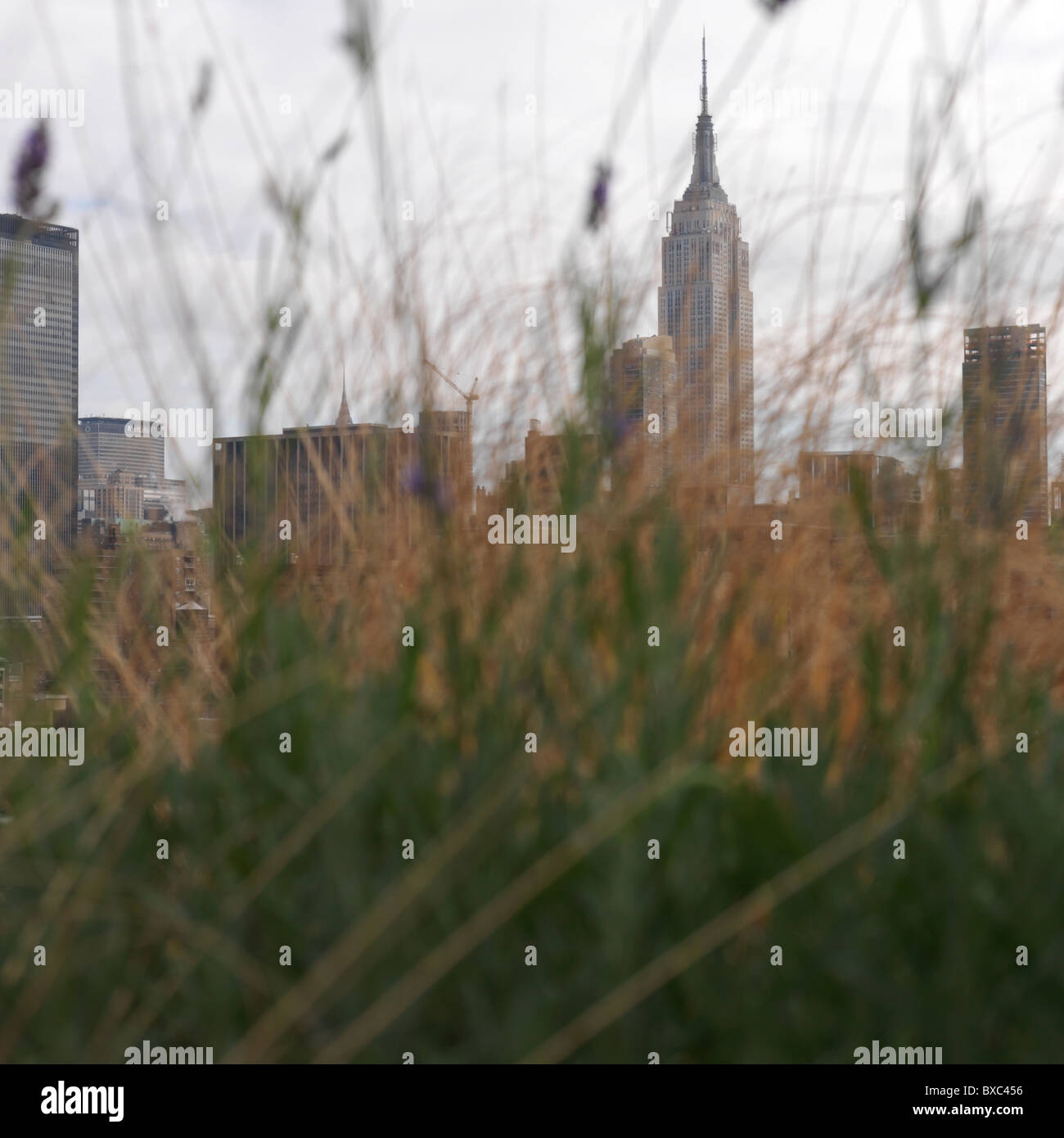 City Skyline, Manhattan, New York City, Vereinigte Staaten von Amerika Stockfoto