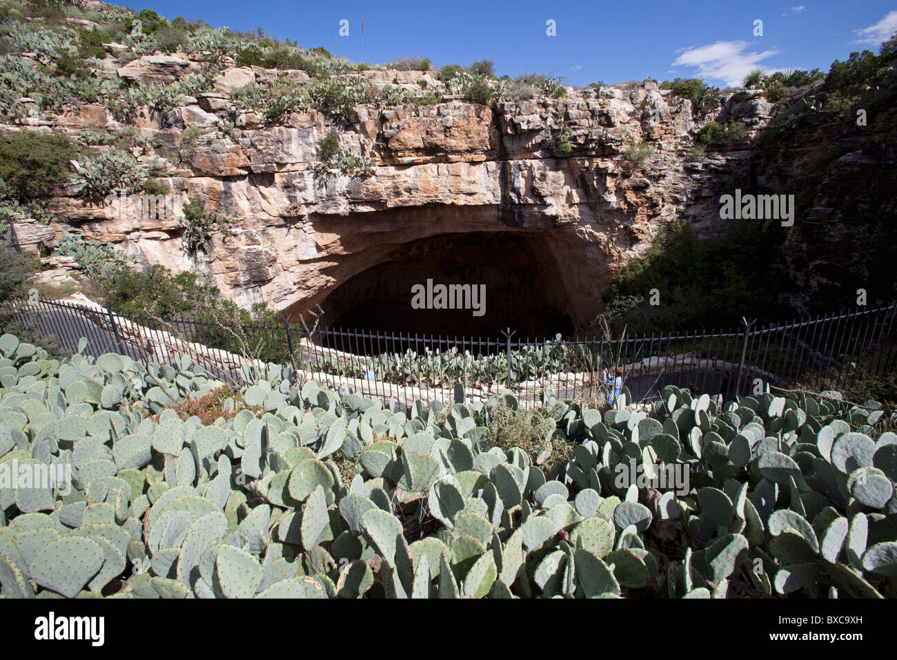 Carlsbad, New Mexico - die natürlichen Zugang zur Carlsbad Caverns in Carlsbad Caverns National Park. Stockfoto