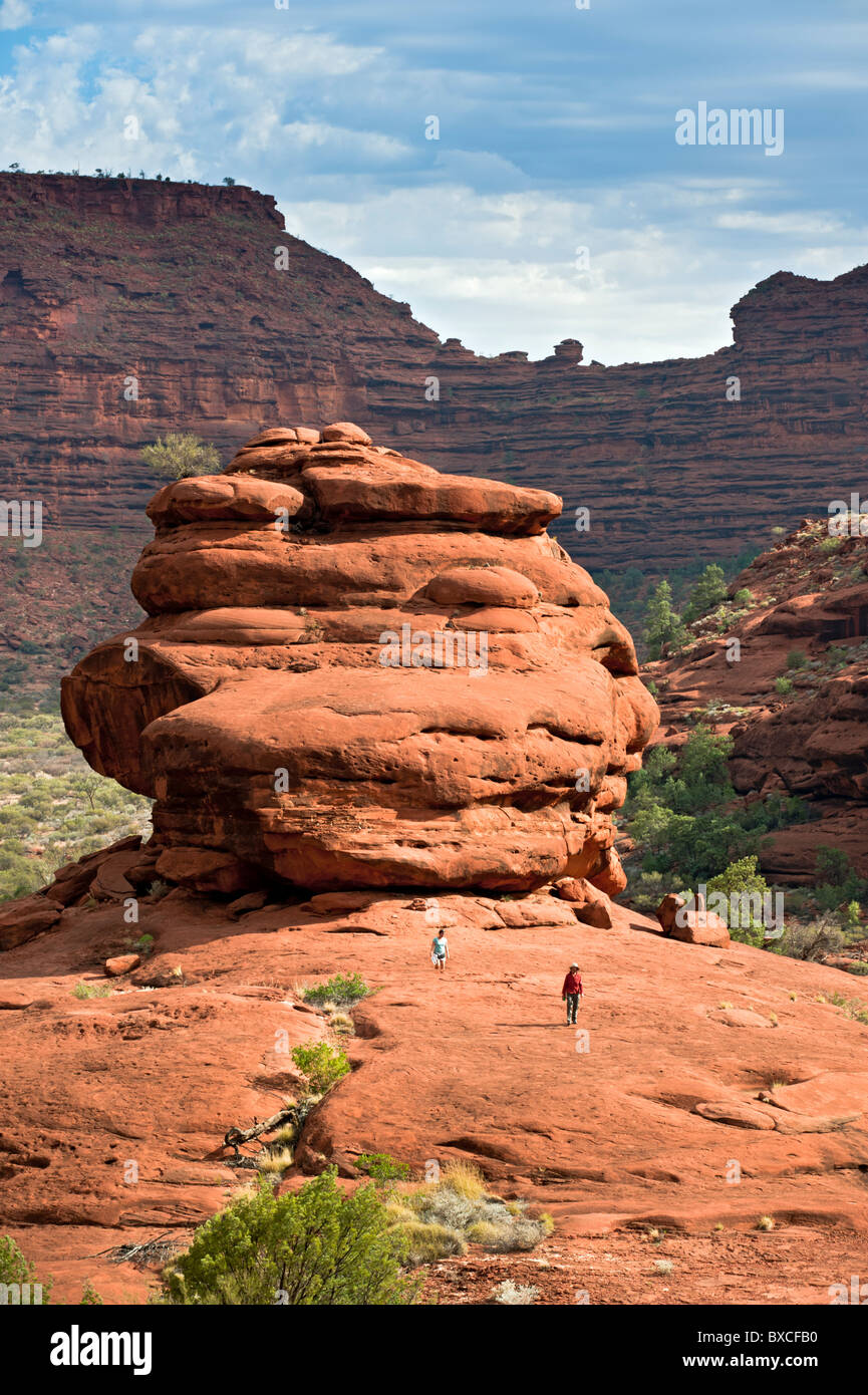 Das Amphitheater von Kalarranga Lookout, Finke Gorge Nationalpark, Northern Territory, Australien Stockfoto