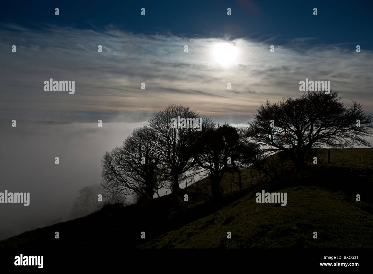 Winter Nebel über Bulbarrow Hügel, Dorset, die im Bereich Blackmore Vale ist Stockfoto