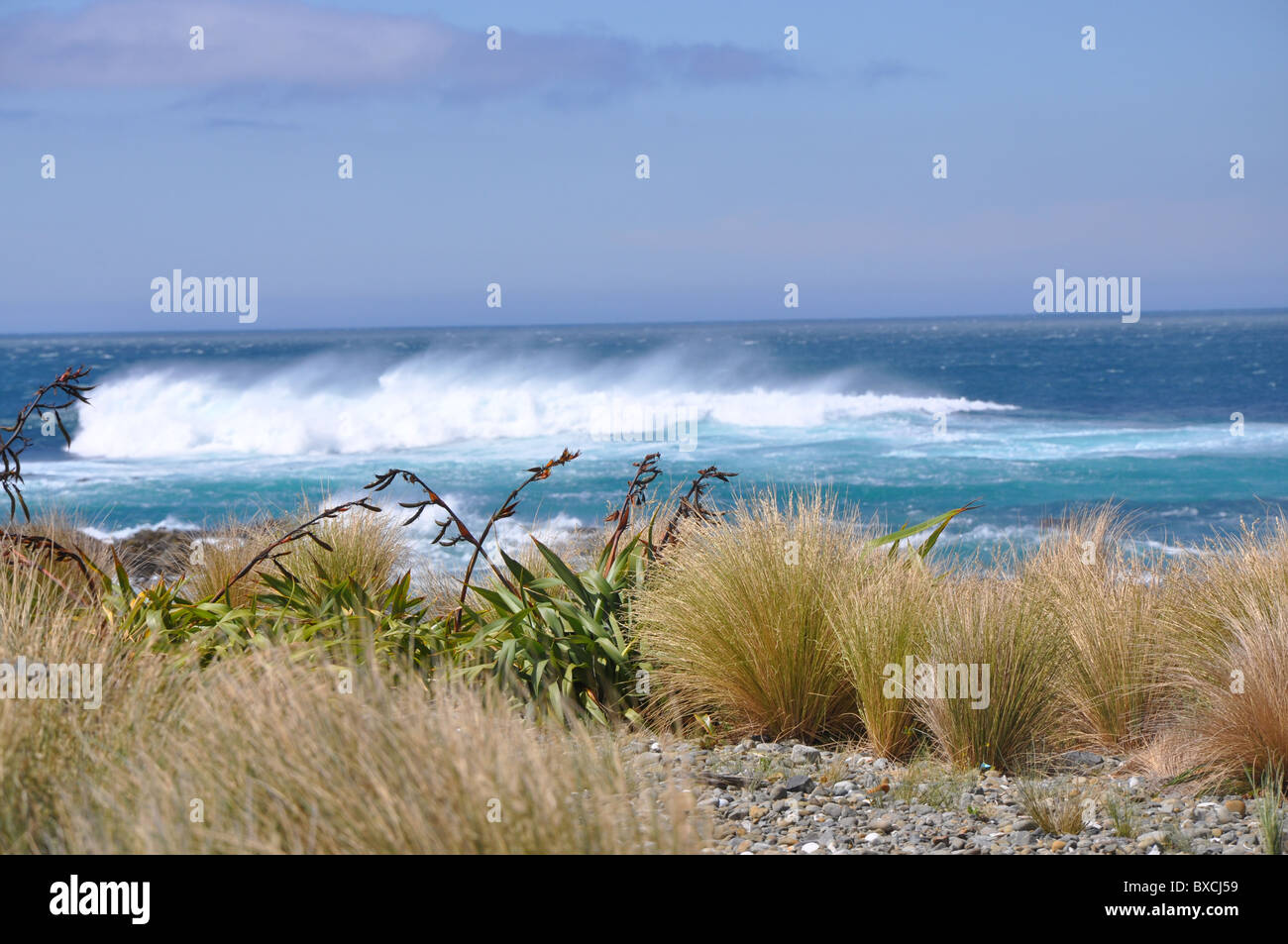 Neuseeland, Lyall Bay in Wellington Stockfoto