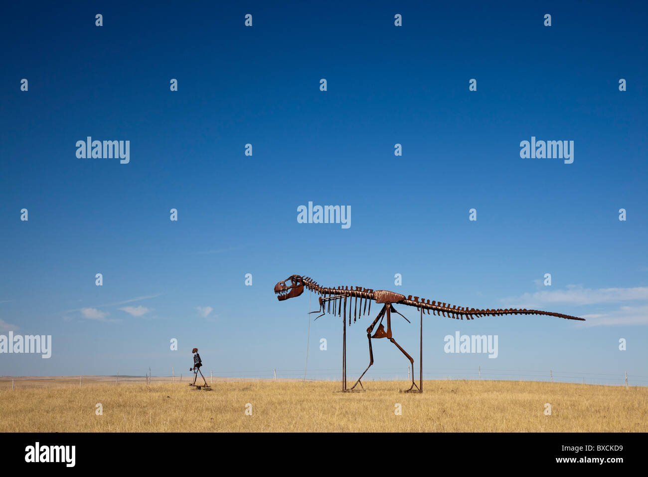 Stamford, South Dakota - Skelette eines Mannes und eines Dinosauriers zu Fuß über die Prärie von South Dakota. Stockfoto