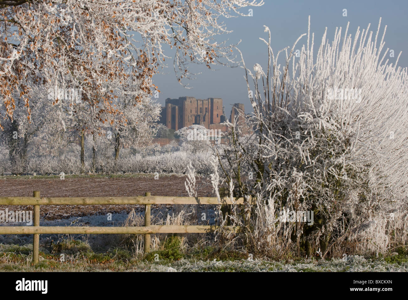 Raureif auf Bäumen - Vereinigtes Königreich Stockfoto