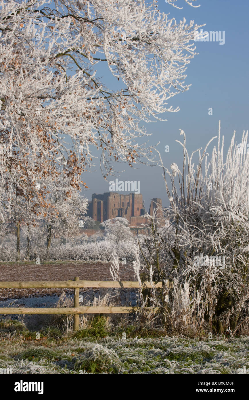 Raureif auf Bäumen - Vereinigtes Königreich Stockfoto