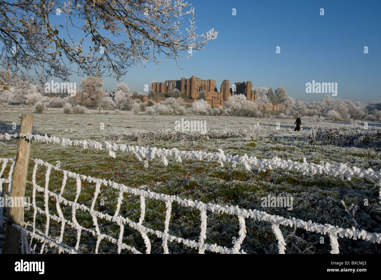 Raureif auf Bäumen - Vereinigtes Königreich Stockfoto