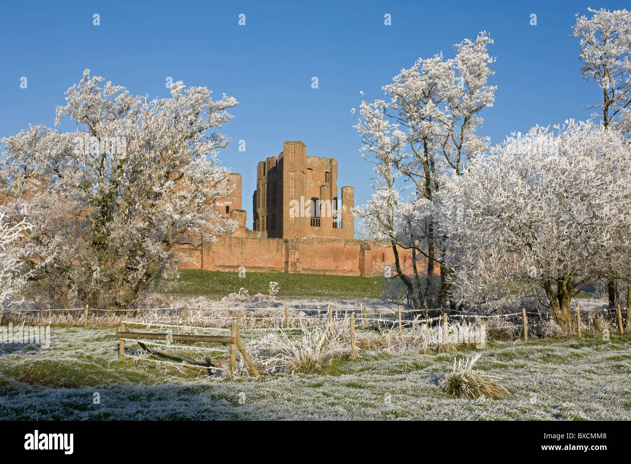 Raureif auf Bäumen - Vereinigtes Königreich Stockfoto