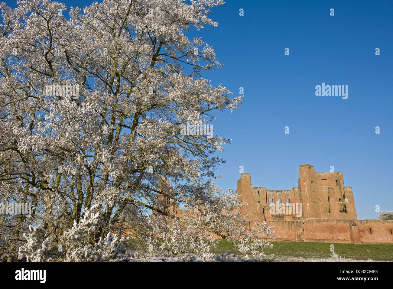 Raureif auf Bäumen - Vereinigtes Königreich Stockfoto