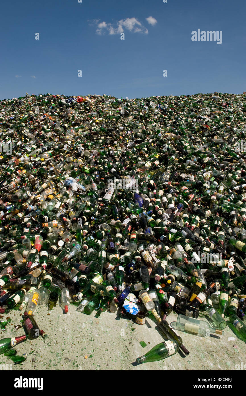 Glas-recycling bei ALBA Berlin, Deutschland Stockfoto