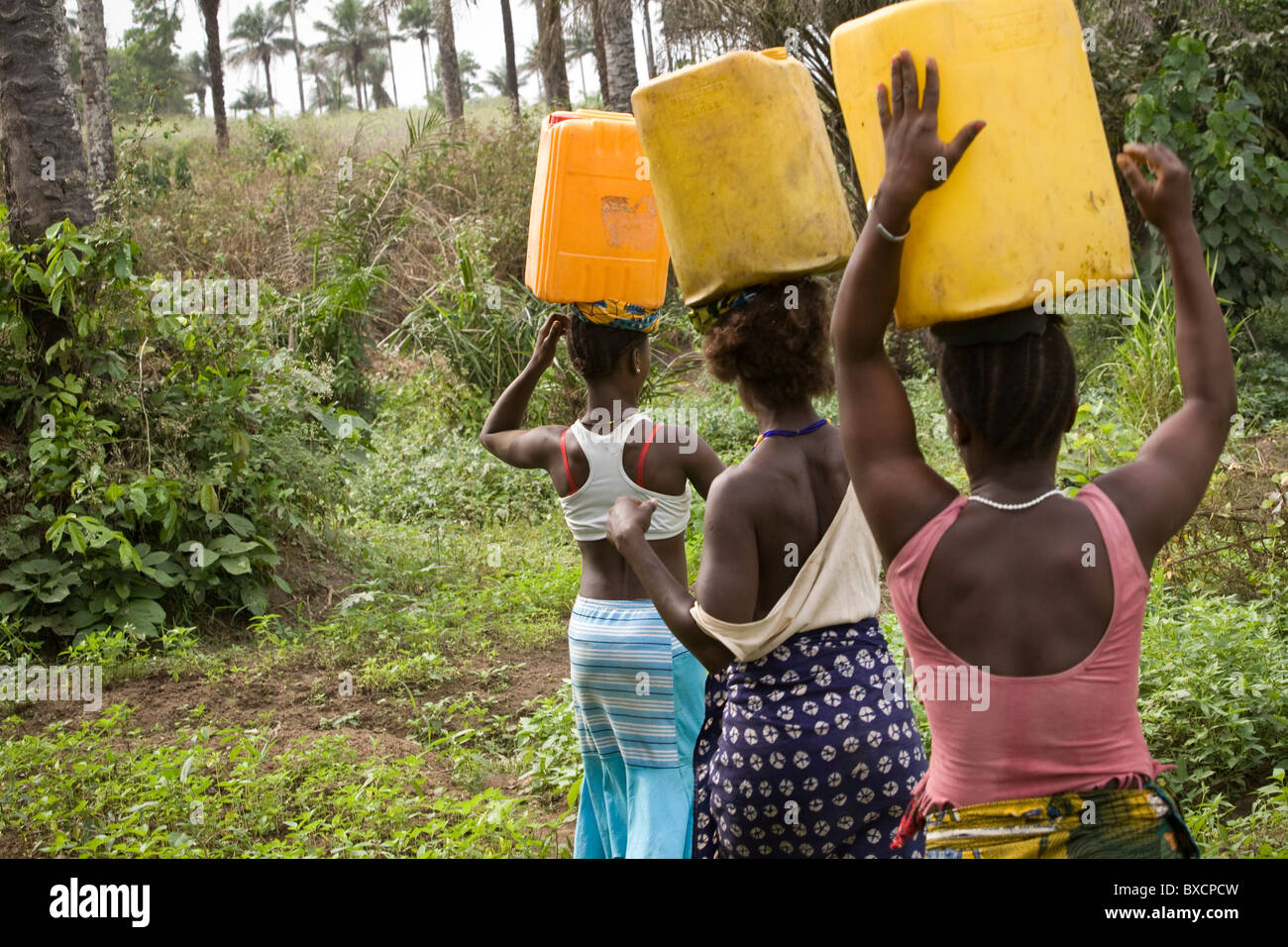 Frauen tragen Wasser wieder aus dem Brunnen in Masiaka, Sierra Leone, Westafrika. Stockfoto