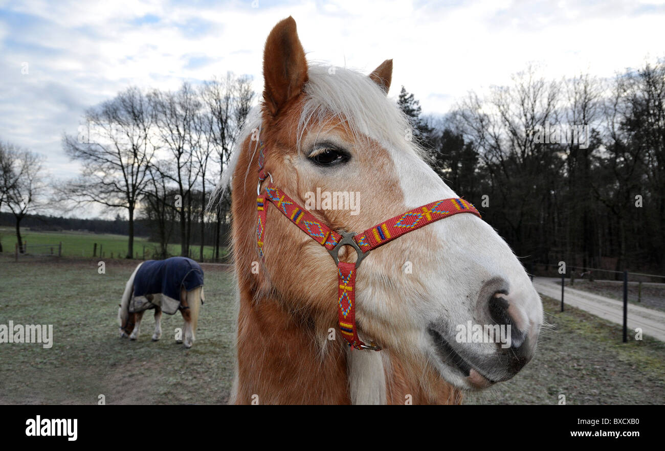 zwinker zwinker stockfotos und bilder kaufen alamy