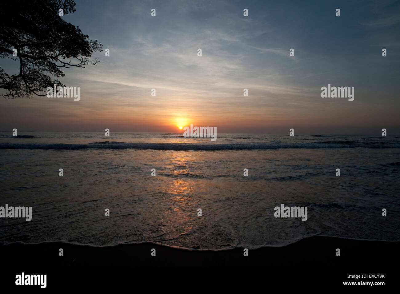 Sonnenuntergang über dem ruhigen Meer in Costa Rica mit Ästen auf der linken Seite des Rahmens - cool Obertöne Stockfoto