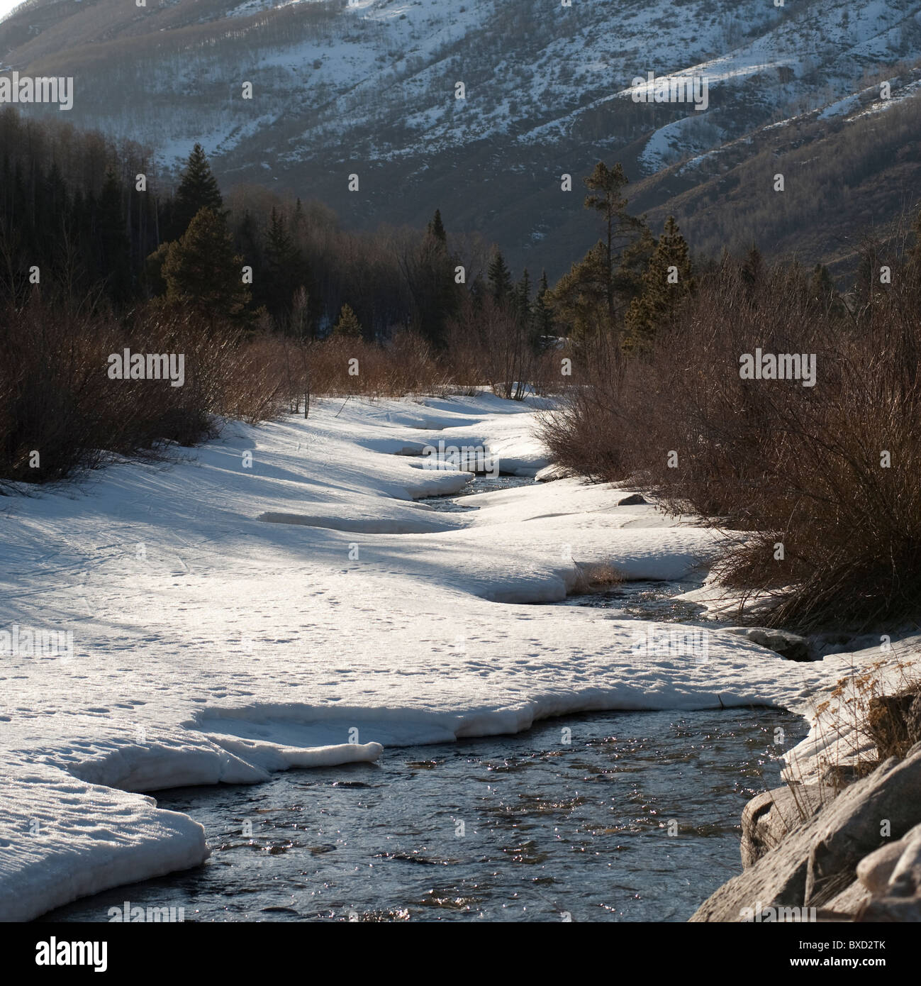 Winterlandschaft in Vail, Colorado Stockfoto