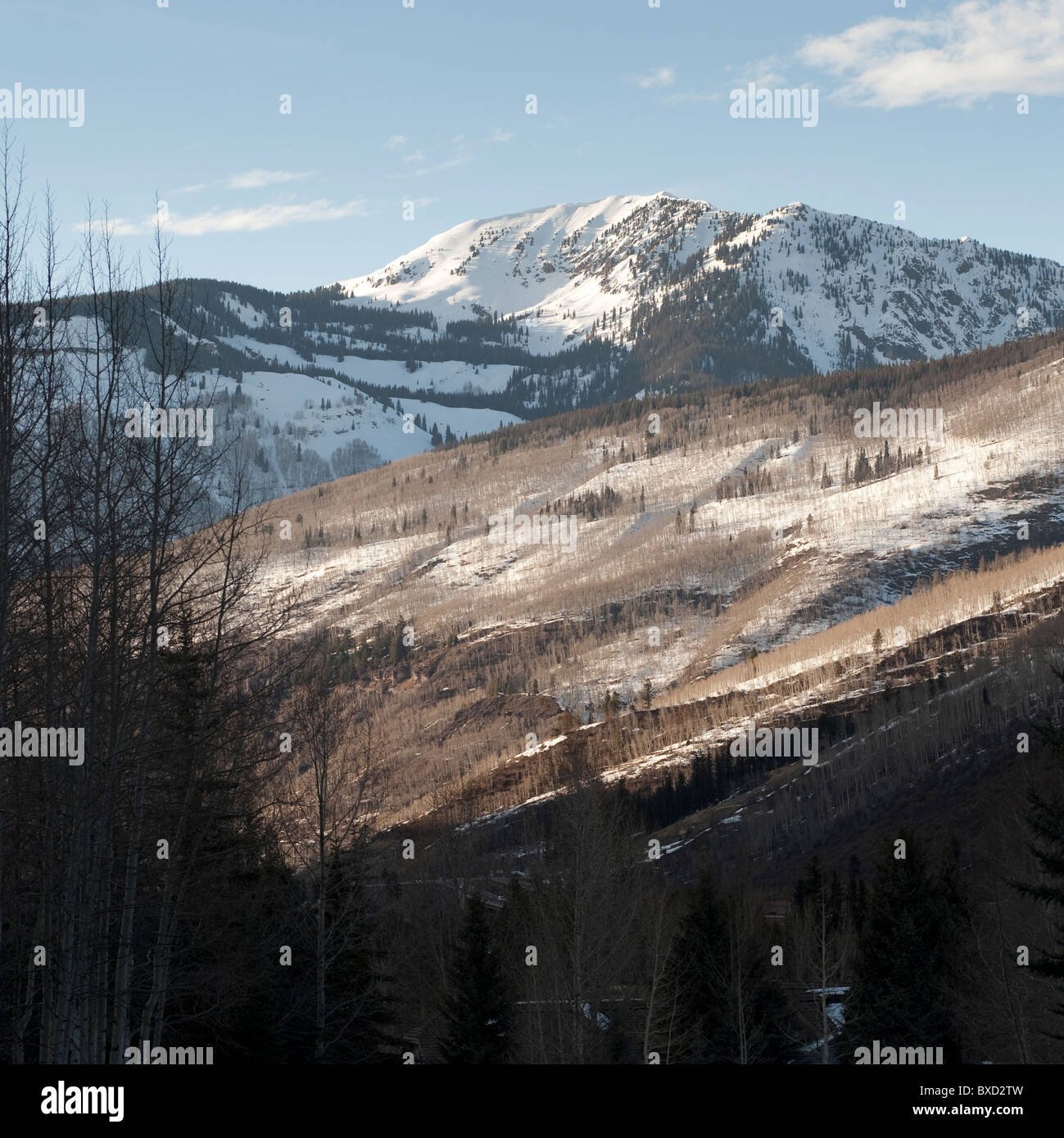 Winterlandschaft in Vail, Colorado Stockfoto