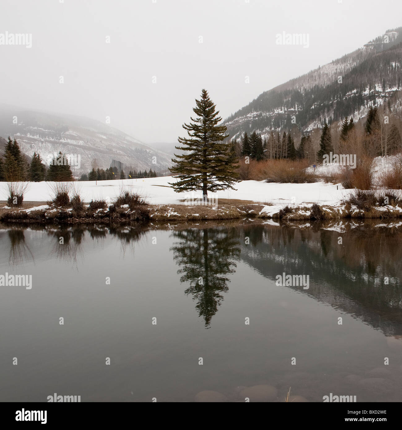 Winterlandschaft in Vail, Colorado Stockfoto