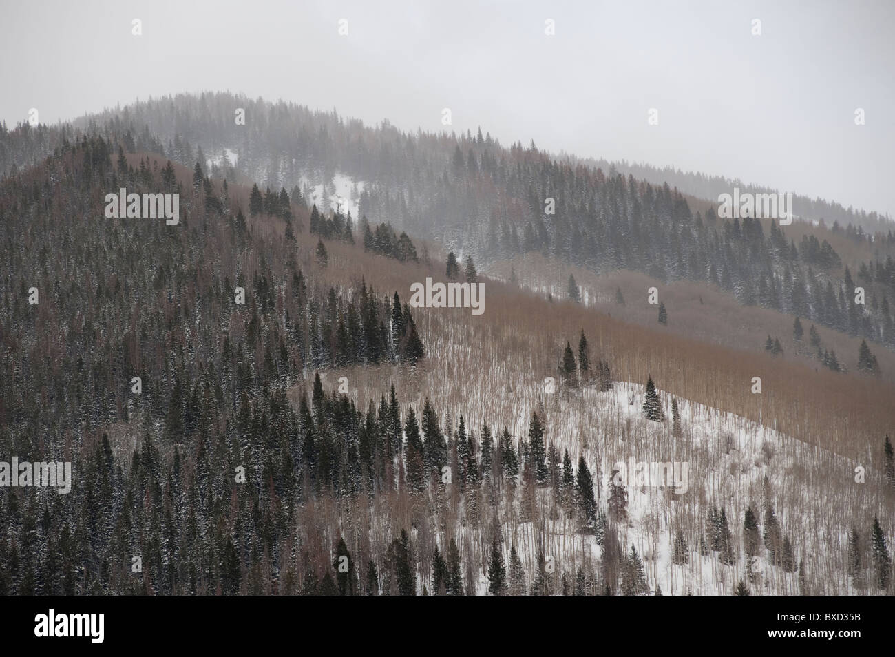 Winterlandschaft in Vail, Colorado Stockfoto