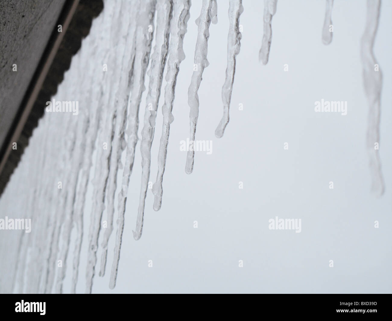 Eiszapfen hängen in Vail, Colorado Stockfoto
