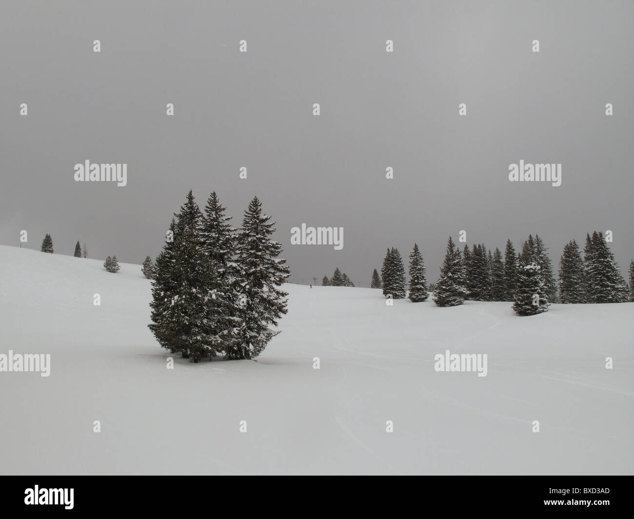 Winterlandschaft in Vail, Colorado Stockfoto