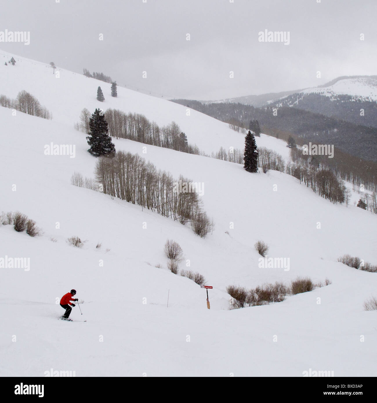 Dowenhill Skifahrer auf der Piste in Vail, Colorado Stockfoto