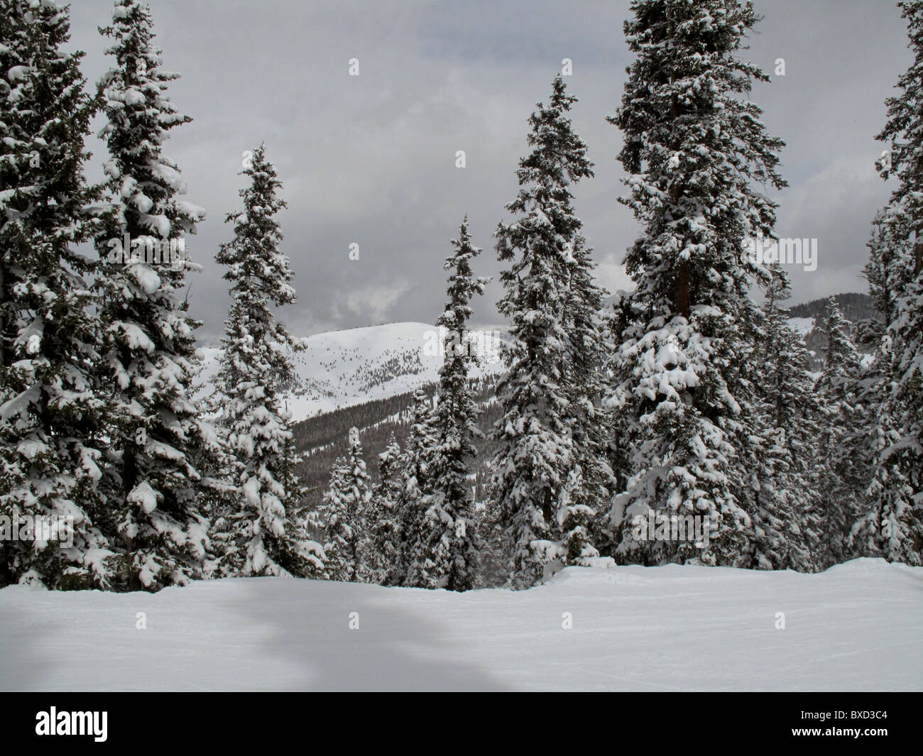 Winterlandschaft in Vail, Colorado Stockfoto