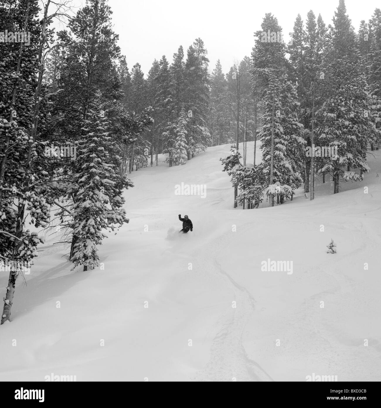 Skifahrer auf der Piste in Vail, Colorado Stockfoto