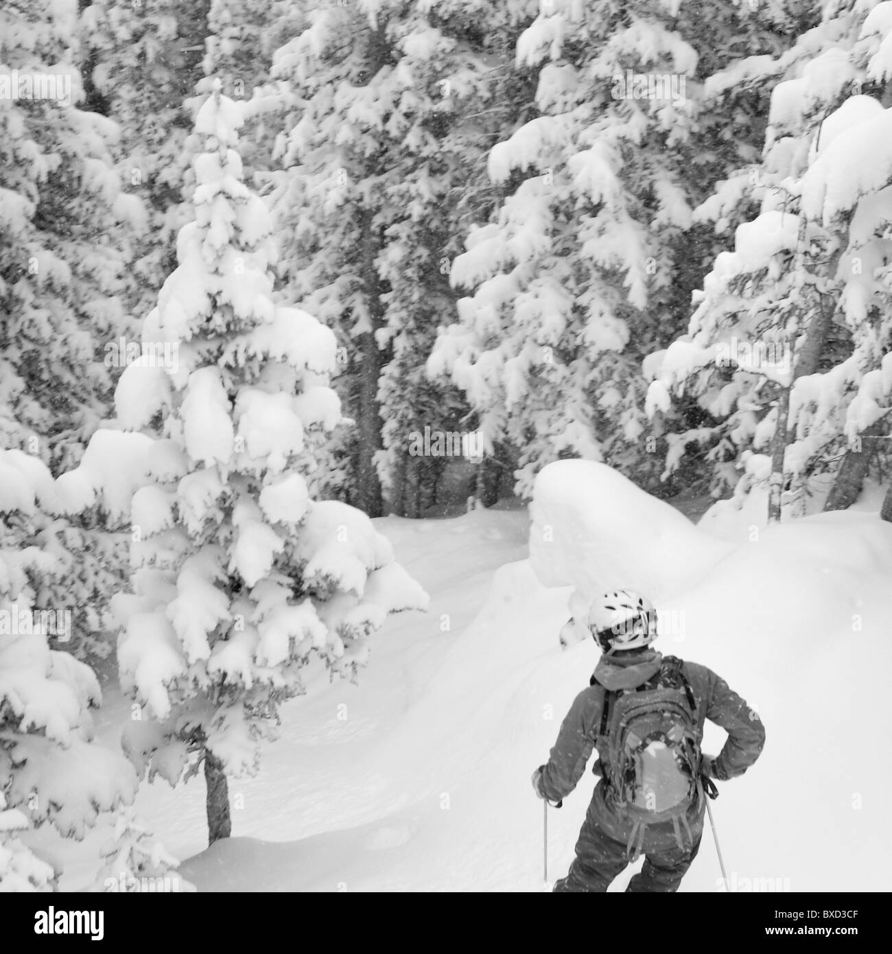 Skifahrer auf der Piste in Vail, Colorado Stockfoto