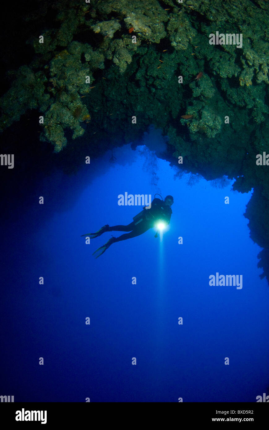 Taucher im blauen Loch Dom, Dahab, Ägypten, Rotes Meer Stockfoto