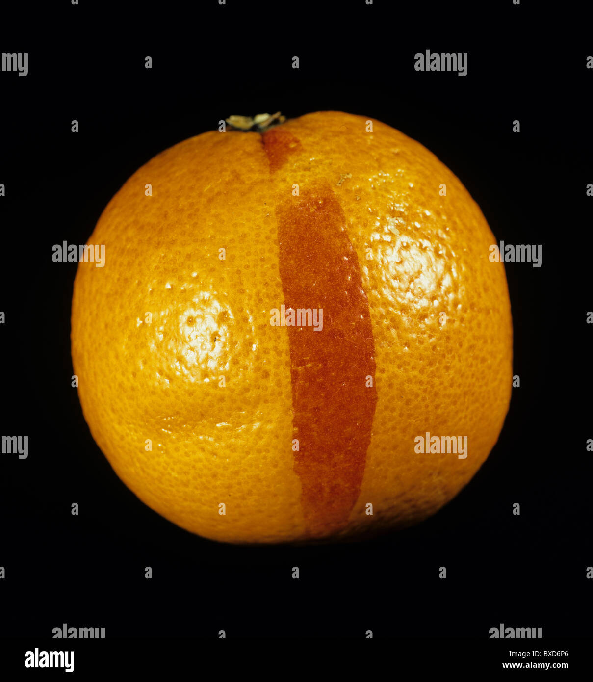 Eine Chimäre, eine genetische Fehlbildung produzieren eine rote Markierung auf der Haut einer Orange Stockfoto