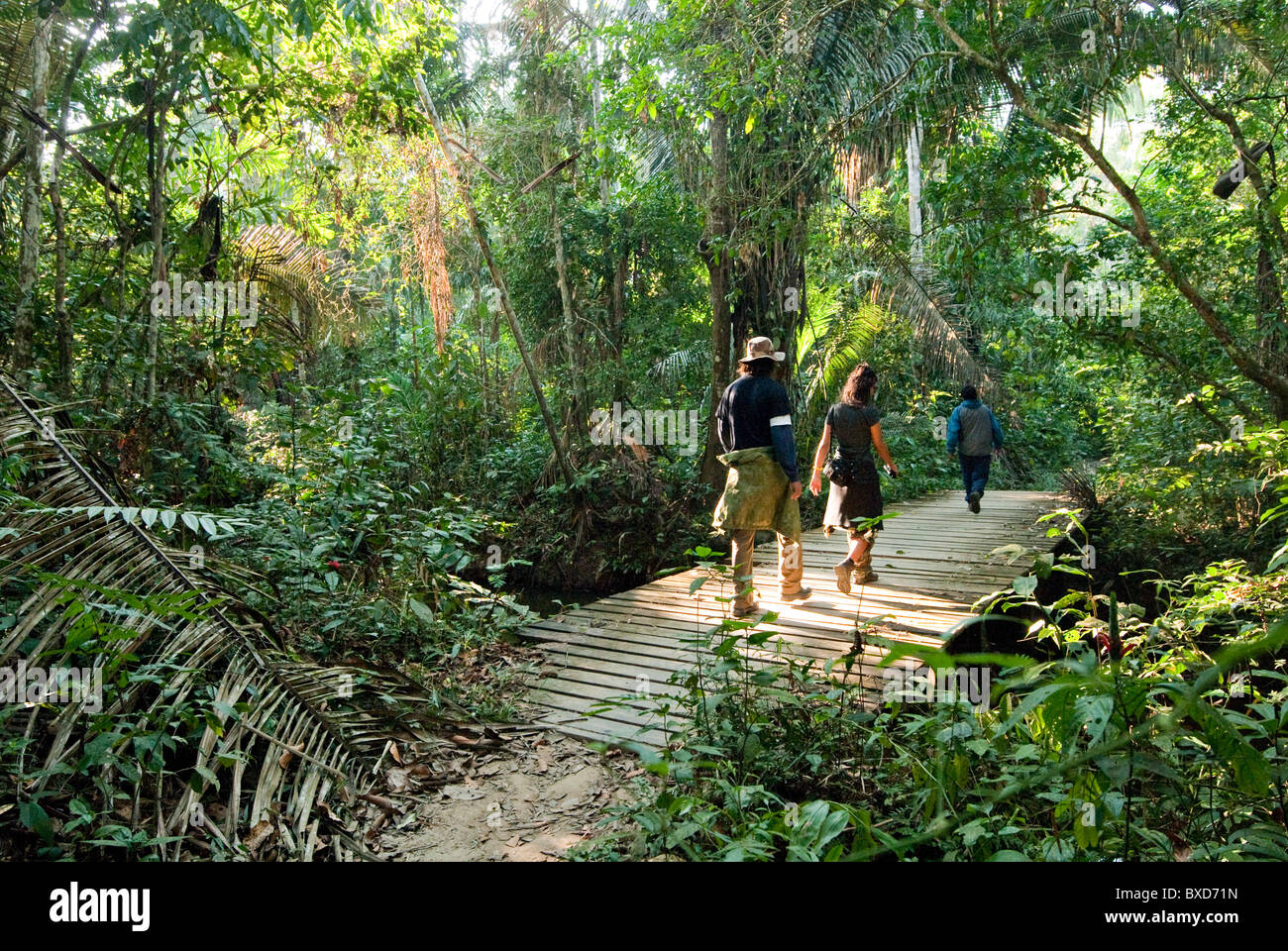 Ein Mann und eine Frau Fuß durch den Amazonas-Regenwald, während der Mitte Morgen. Stockfoto
