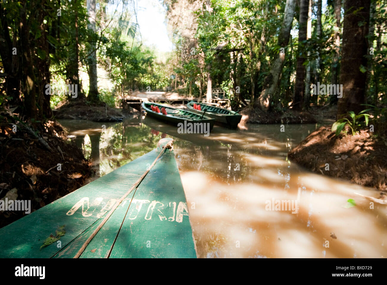 Eine hölzerne Kanu gemacht Eukalyptus Baum schwebt in den Amazonas und Nebenflüssen im Regenwald verbinden. Stockfoto