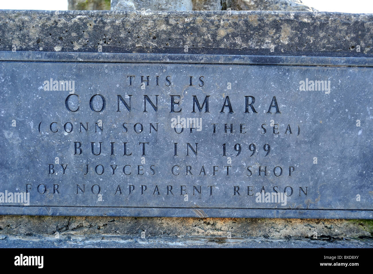 Connemara-Riese, Aussparung, County Galway, Connacht, Republik Irland Stockfoto