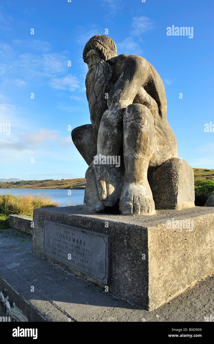 Connemara-Riese, Aussparung, County Galway, Connacht, Republik Irland Stockfoto
