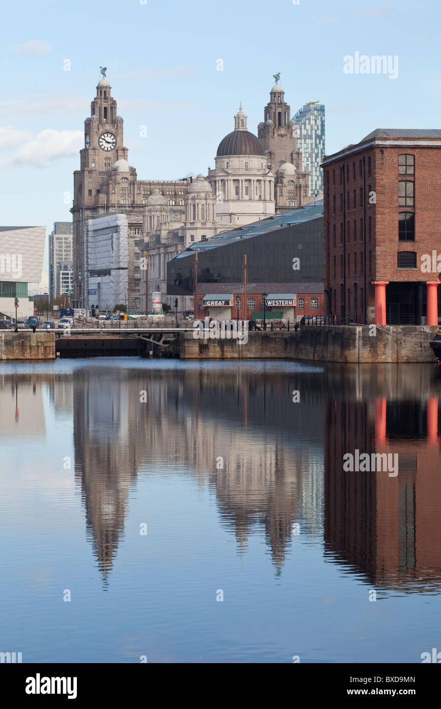 Liverpools Liverbuildings spiegelt sich in der Albert Dock Merseyside Stockfoto