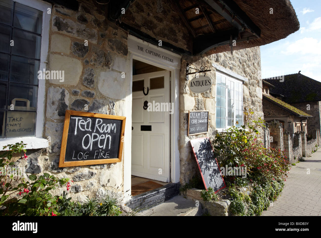 Teestube In Bier Devon UK Europe Stockfoto