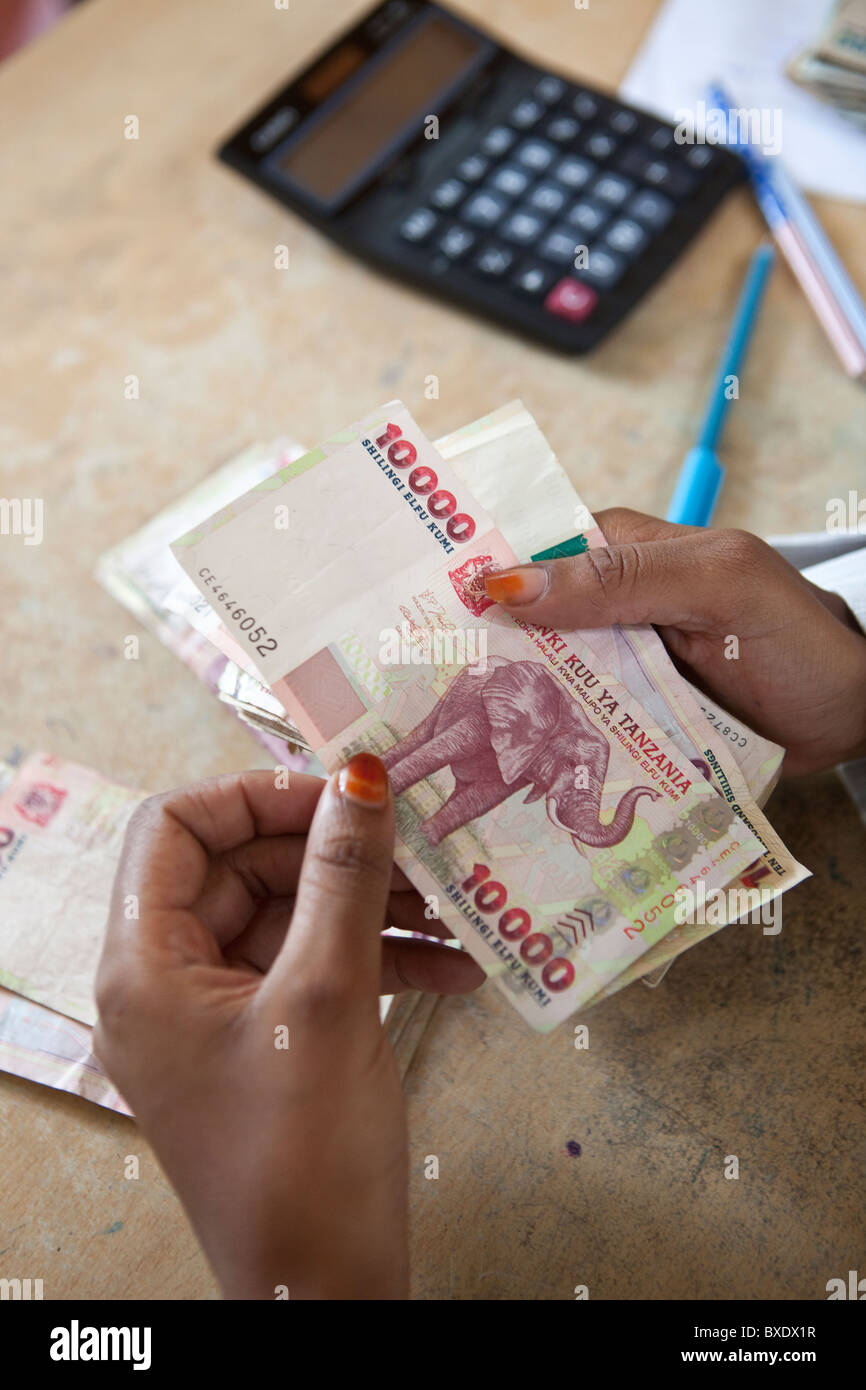 Ein Buchhalter zählt Bargeld (Tansanische Shilling) in Dodoma, Tansania, Ostafrika. Stockfoto
