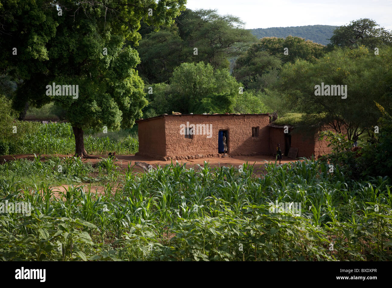 Dorf in Ulunguru Bergen im zentralen Tansania, Ostafrika. Stockfoto