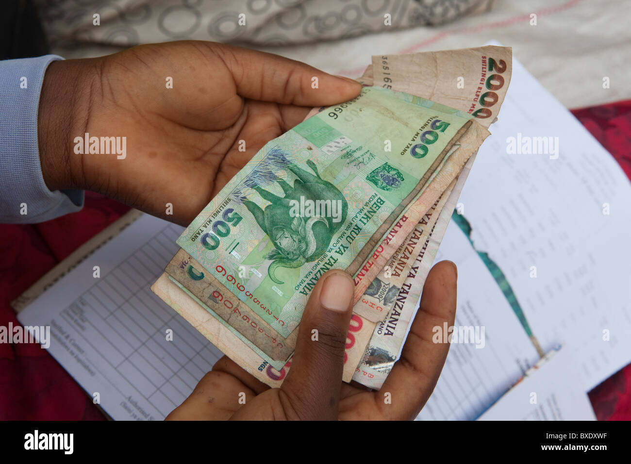 Ein Buchhalter zählt Bargeld (Tansanische Shilling) in Dodoma, Tansania, Ostafrika. Stockfoto
