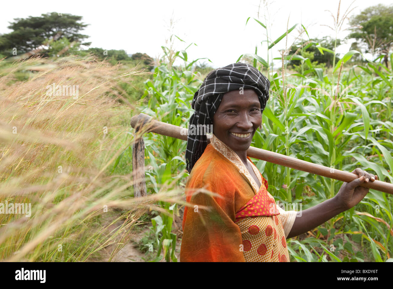 Frau Khabitu Ally Mkude ist ein Bauer lebt außerhalb Iringa, Tansania, Ostafrika. Stockfoto