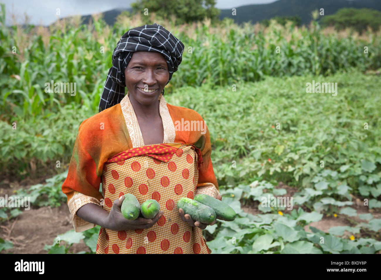 Frau Khabitu Ally Mkude ist ein Gemüsebauer in Iringa, Tansania, Ostafrika. Stockfoto