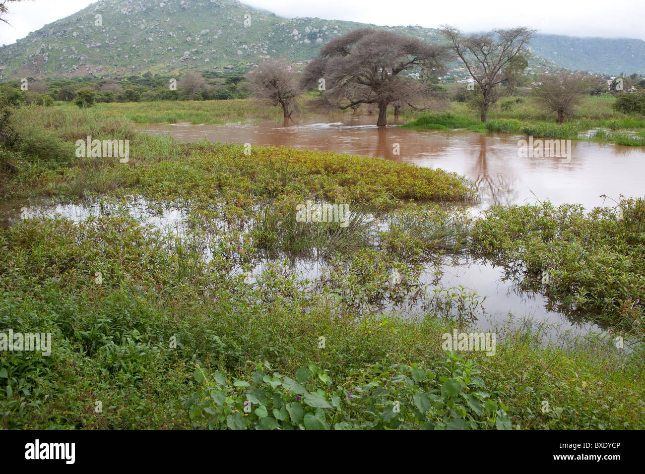 Ruaha-Fluss überschwemmt - Iringa, Tansania, Ostafrika. Stockfoto
