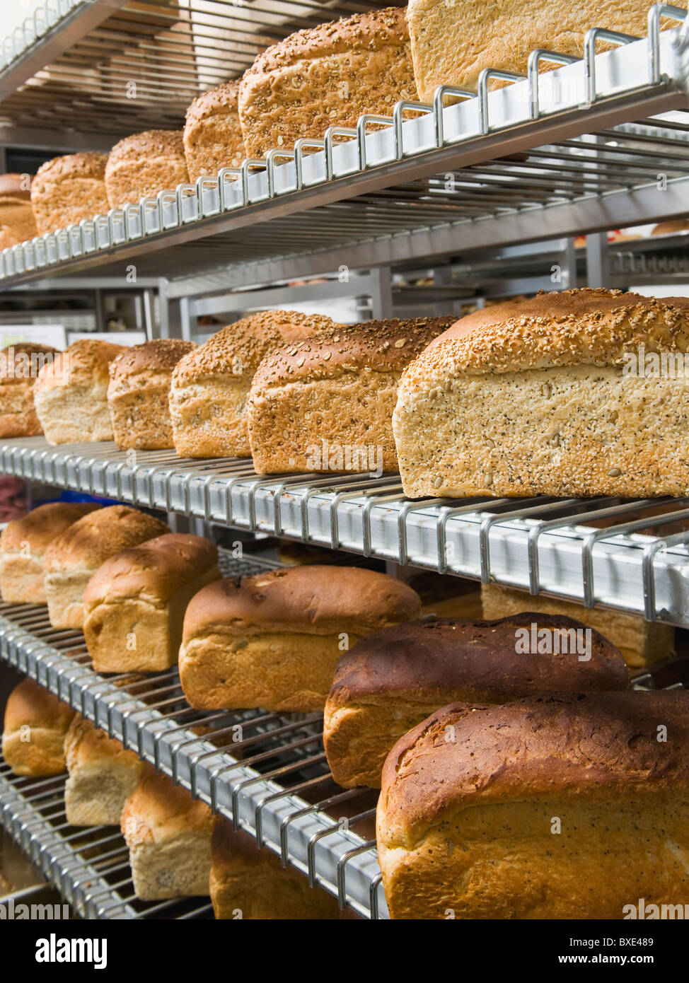 Laibe Brot in den Regalen in Bäckerei Stockfoto