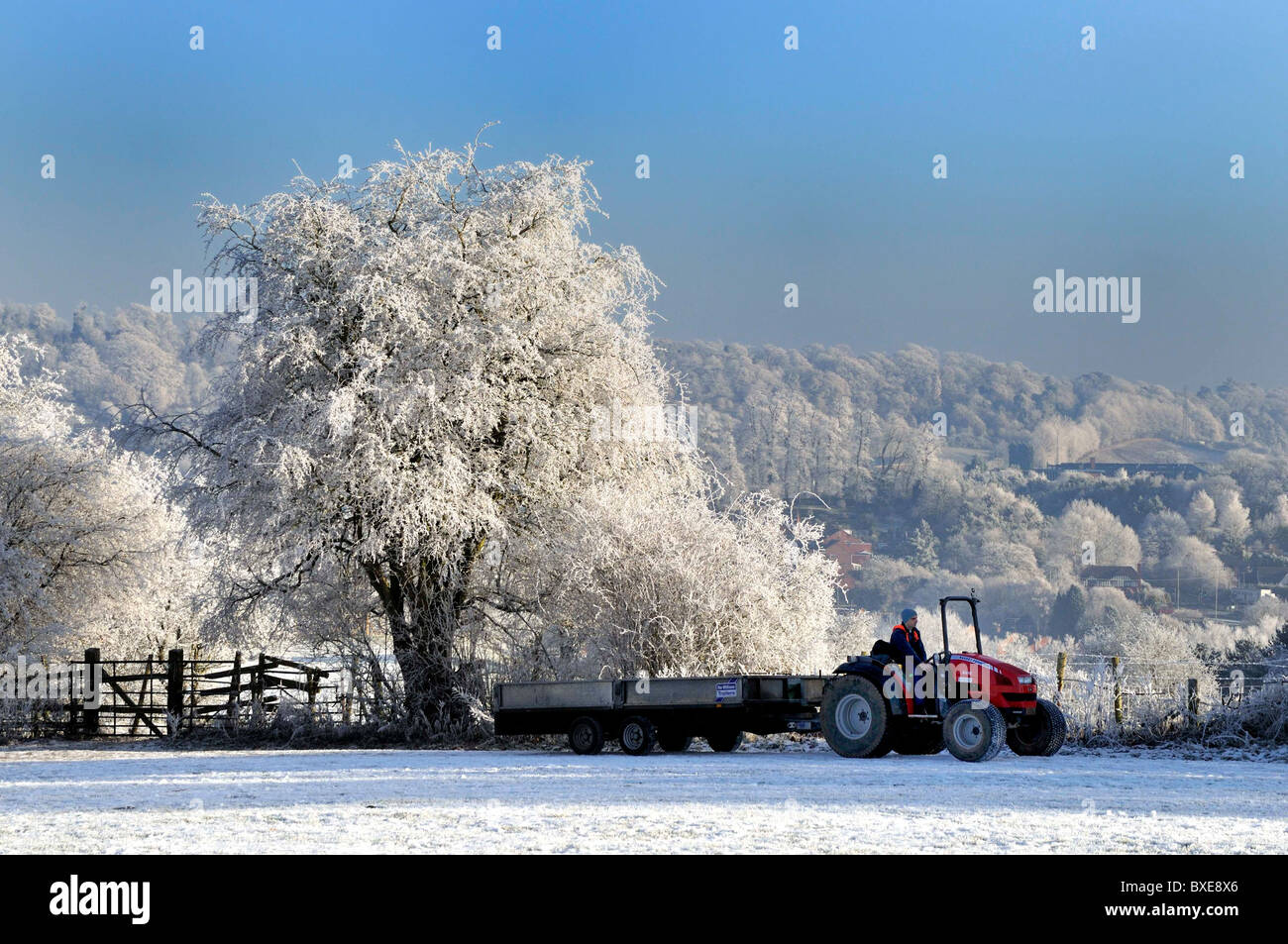 Winter-treffen nach unten auf dem Bauernhof Stockfoto