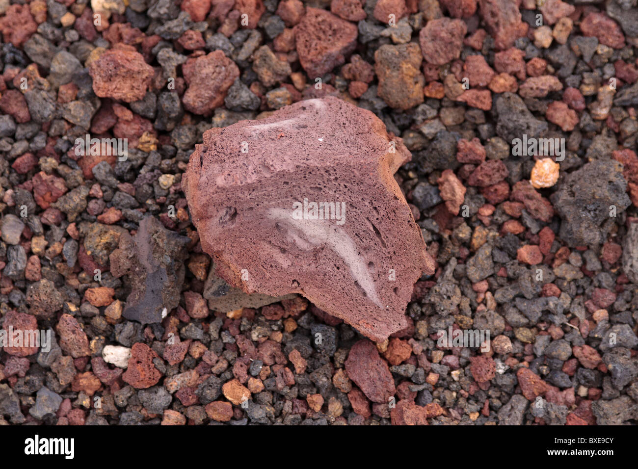 Vulkanische Felsen und Steinen in El Medano-Teneriffa-Kanarische Inseln-Spanien Stockfoto