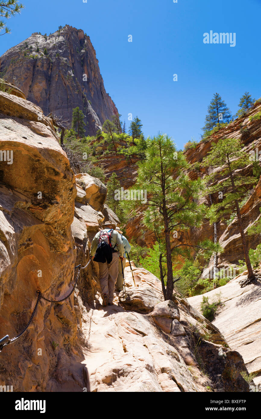 Wanderer auf einem Pfad in Zion Nationalpark Stockfoto
