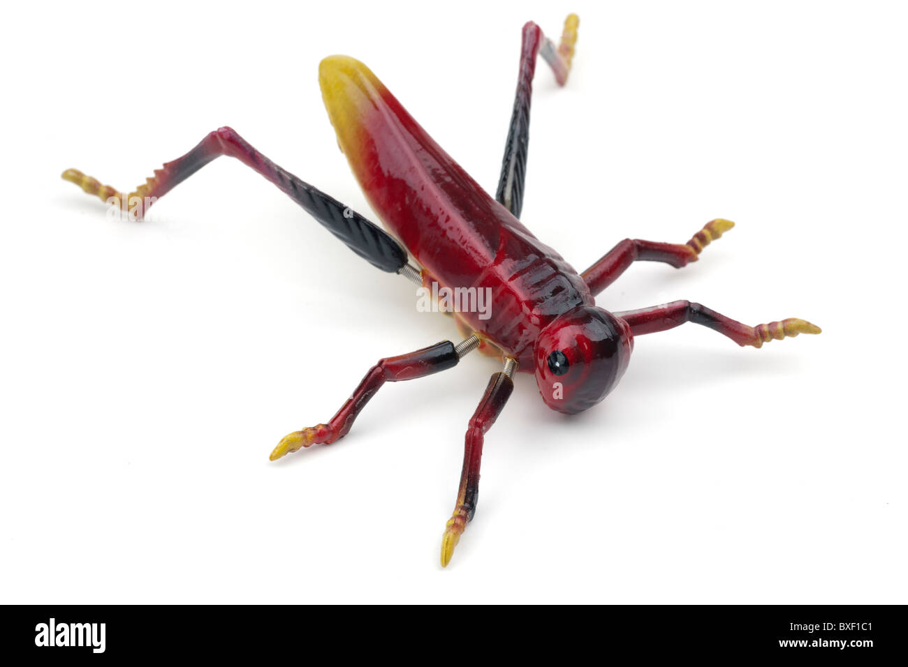 Spielzeug sechs Beinen Insekt Stockfoto
