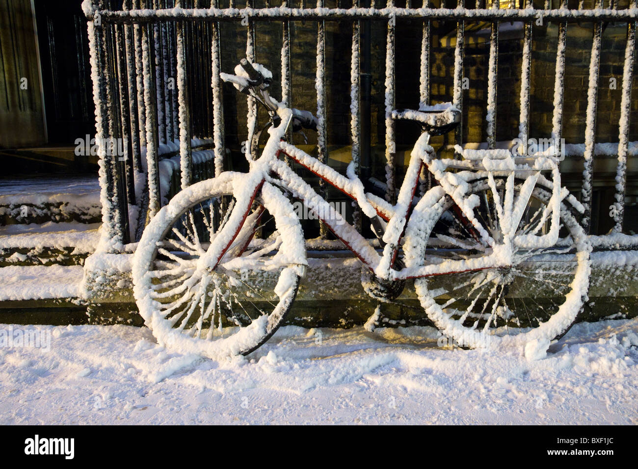 Viele Studenten der Cambridge Universität Fahrrad fahren, aber diese wurden ausgelassen im Schnee und Aussehen attraktiver als fahrbar Stockfoto