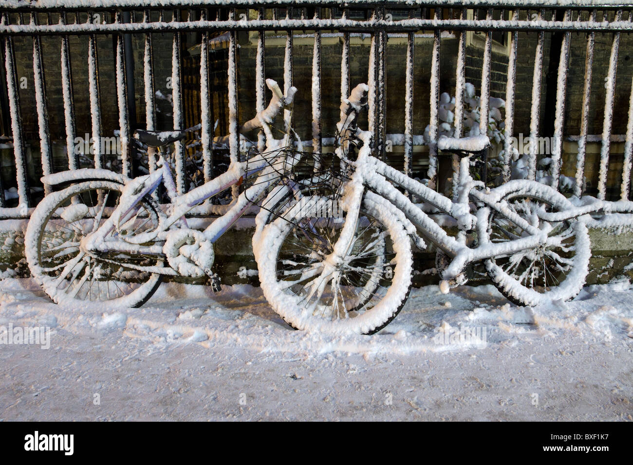 Viele Studenten der Cambridge Universität Fahrrad fahren, aber diese wurden ausgelassen im Schnee und Aussehen attraktiver als fahrbar Stockfoto