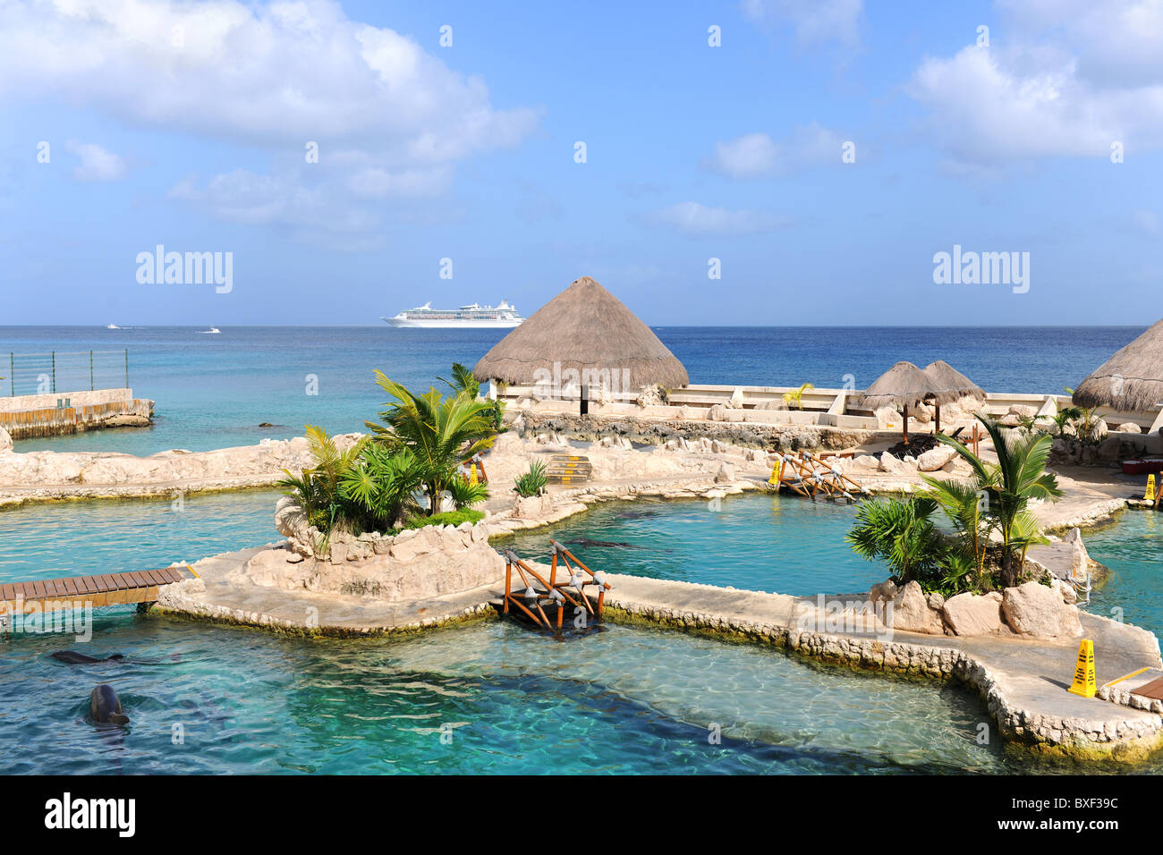 Delfinarium in Cozumel Mexiko mit Kreuzfahrtschiff im Hintergrund Stockfoto