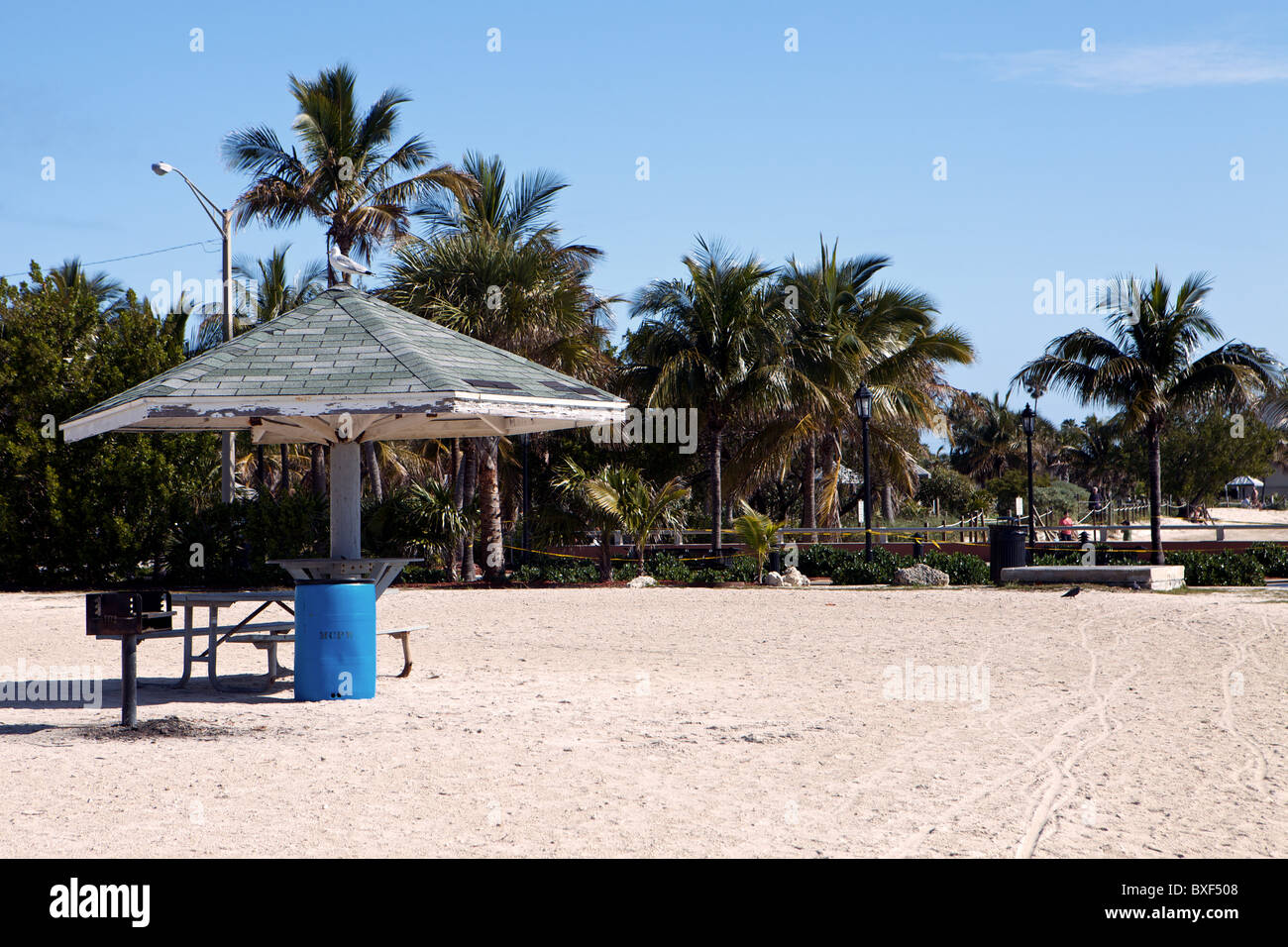 Picknicktisch am Higgs Beach, Key West, Florida USA Stockfoto