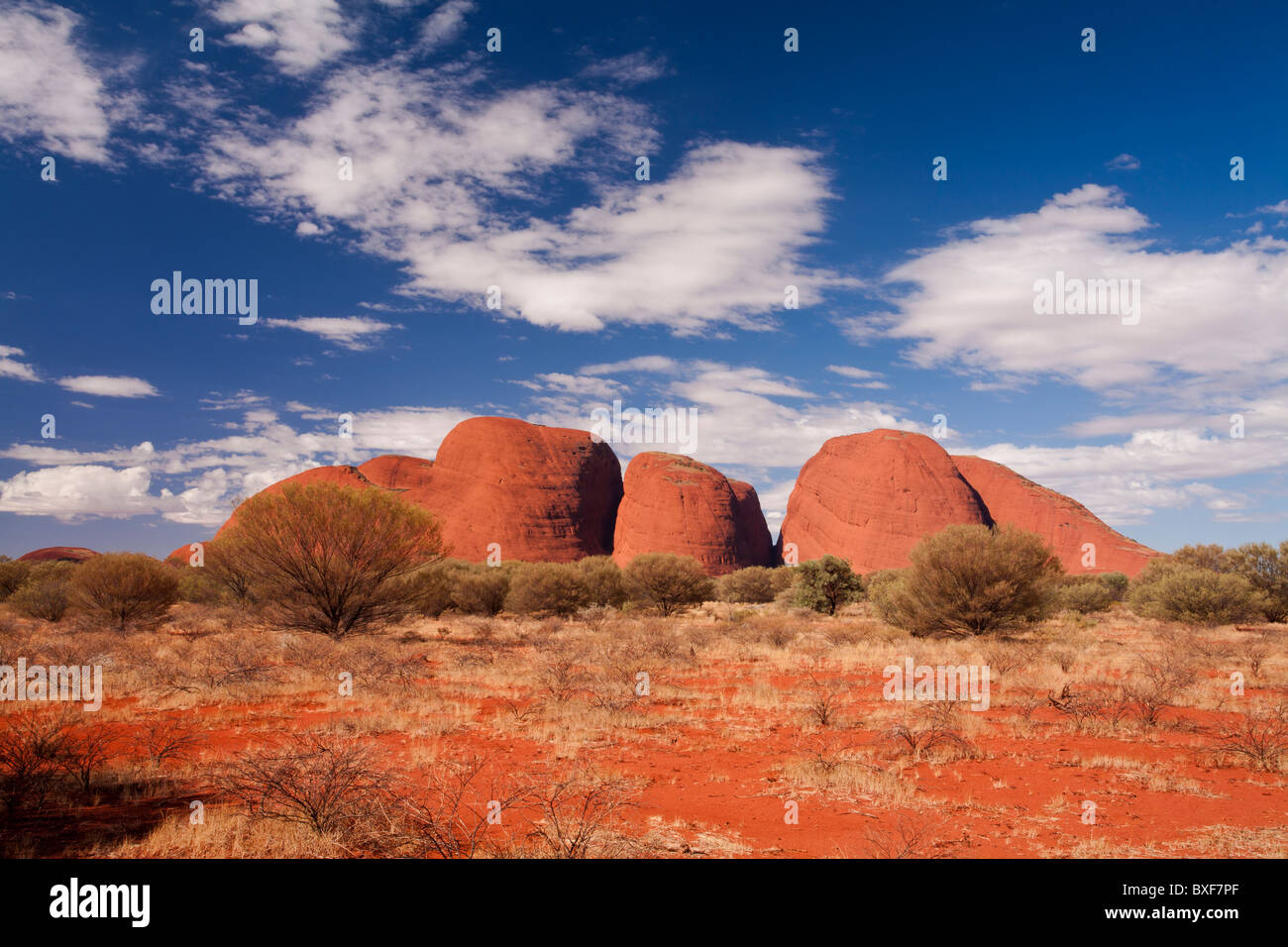 Kata Tjuta (die Olgas), Uluru - Kata Tjuta National Park, Northern Territory Stockfoto